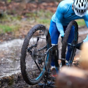 Bici